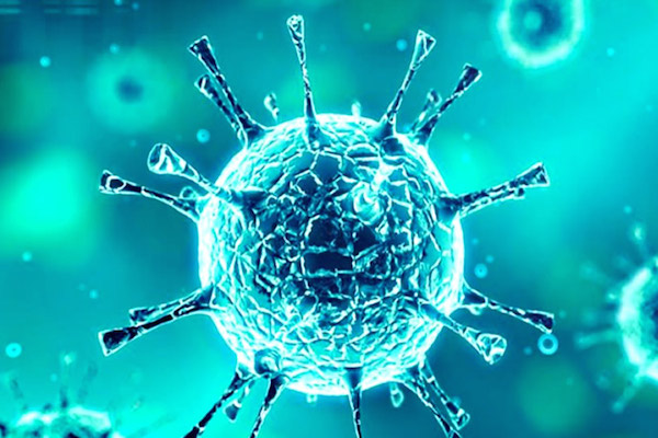 Efeito coronavírus: mercado está pronto para novos cortes da Selic em 2020